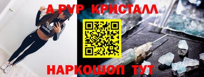 шишки Дубна