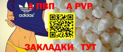 шишки Дубна