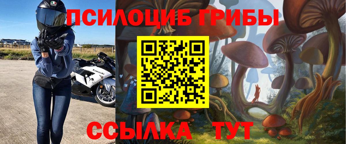 Галлюциногенные грибы Magic Shrooms Гай